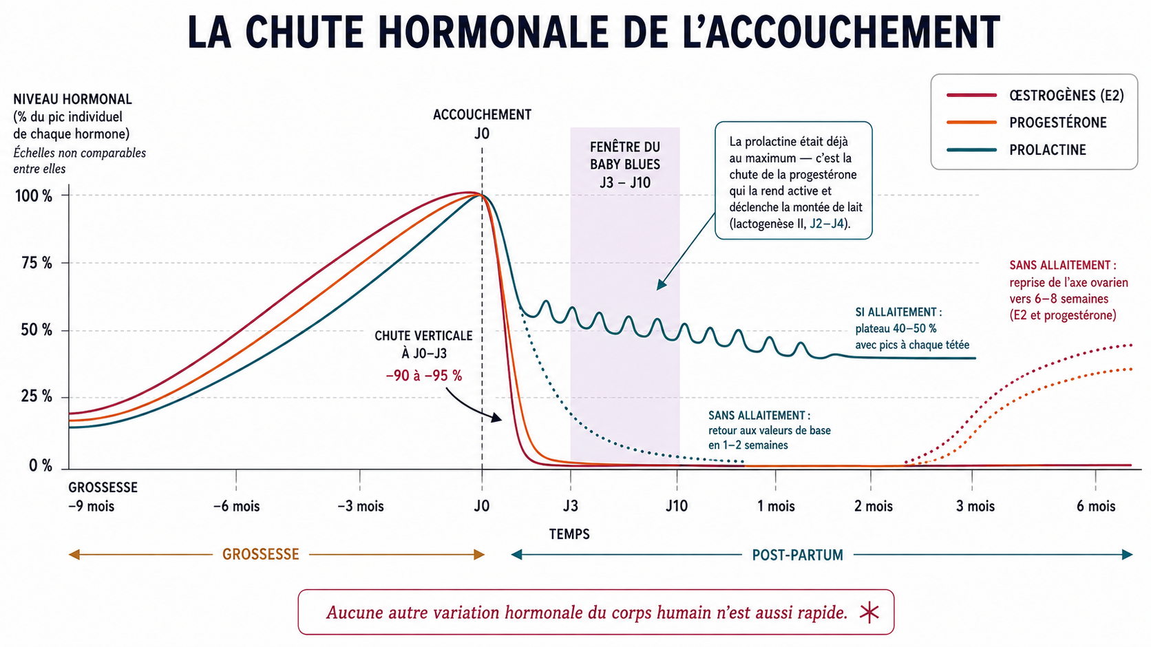 Tableau chute hormonal après accouchement