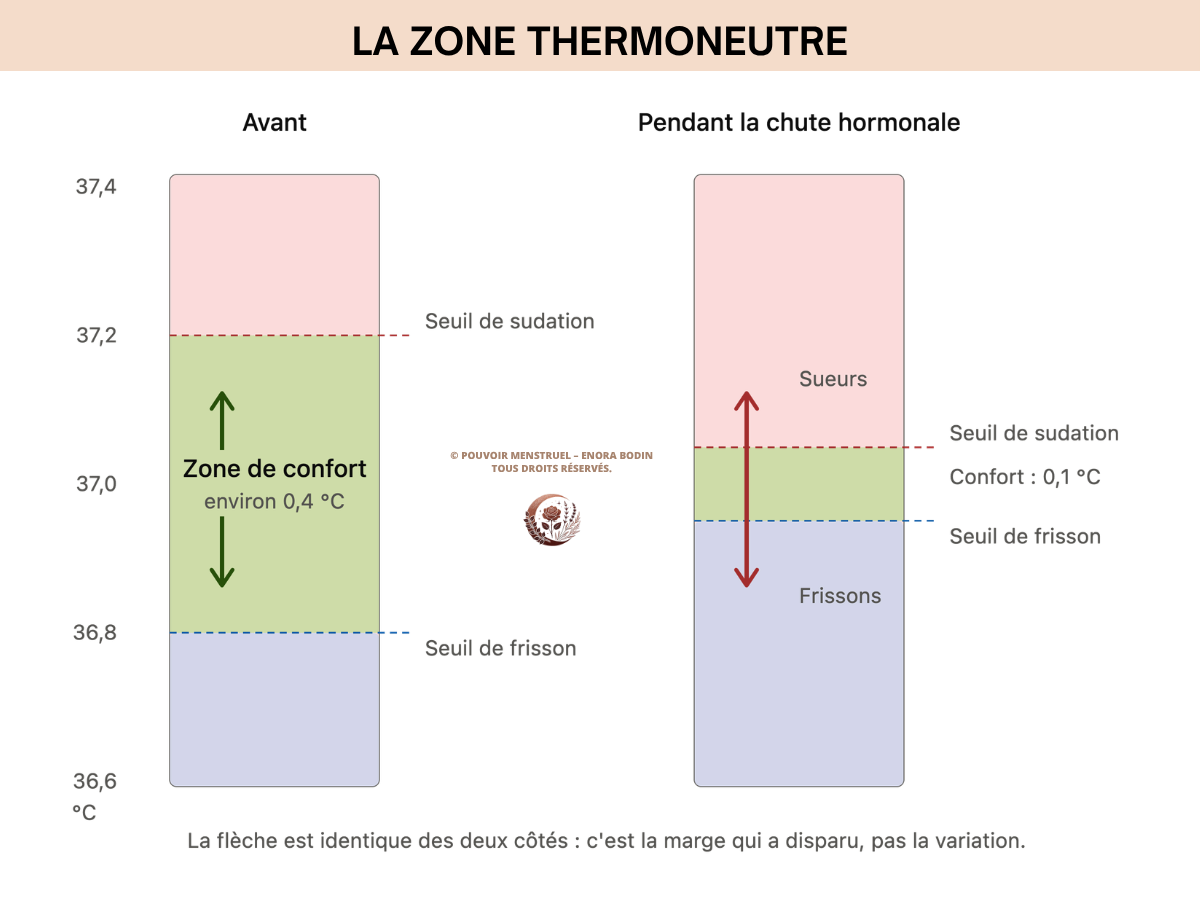 Zone thermoneutre Zone thermoneutre